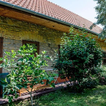 Kohaz Apartman Lägenhet Veszprém Exteriör bild