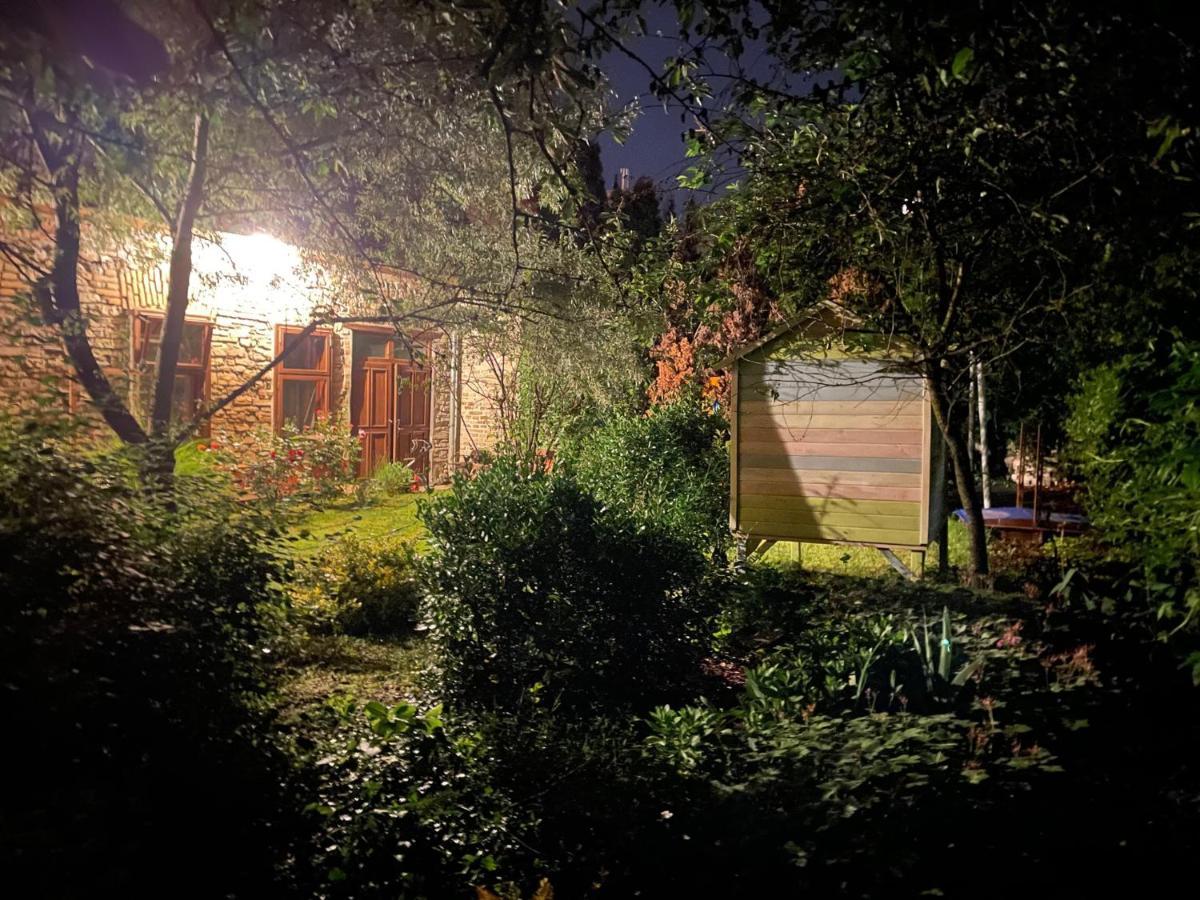 Kohaz Apartman Lägenhet Veszprém Exteriör bild