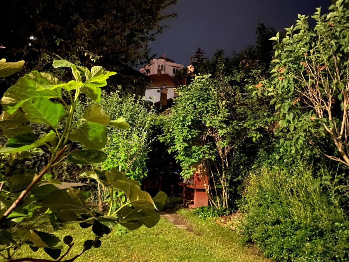 Kohaz Apartman Lägenhet Veszprém Exteriör bild