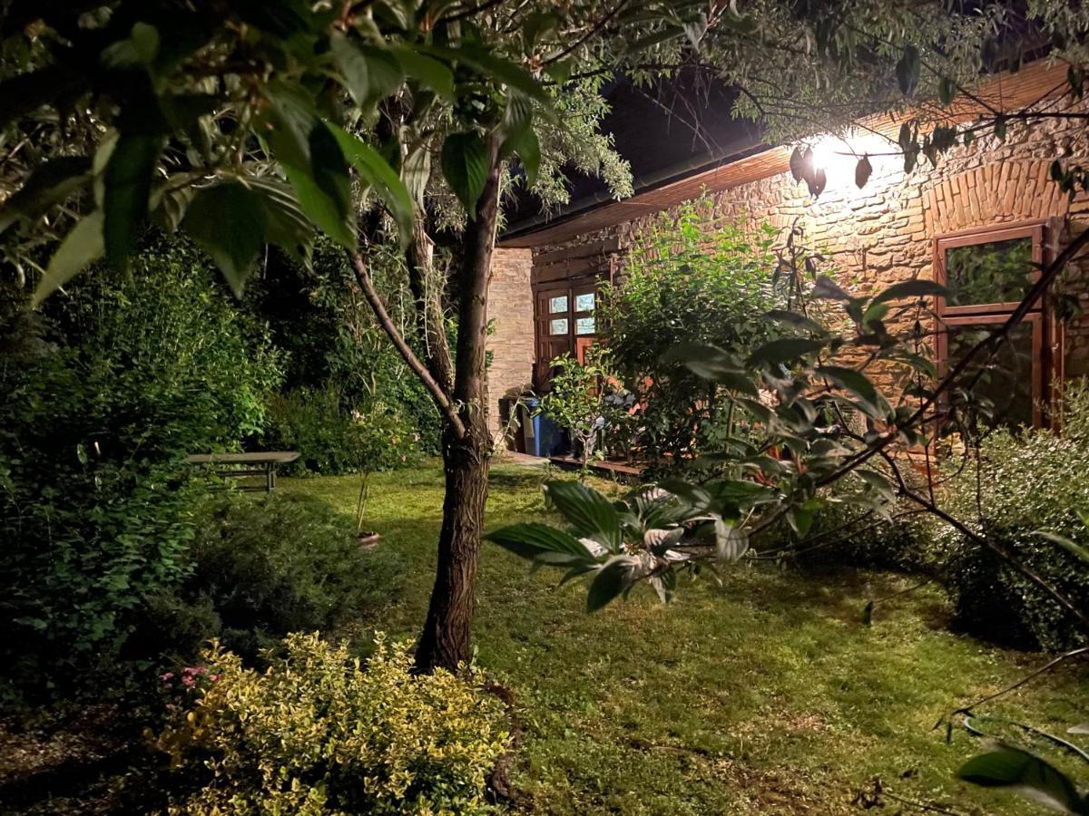Kohaz Apartman Lägenhet Veszprém Exteriör bild
