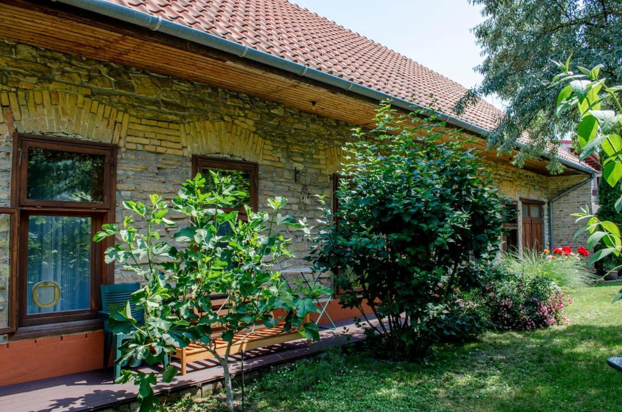 Kohaz Apartman Lägenhet Veszprém Exteriör bild
