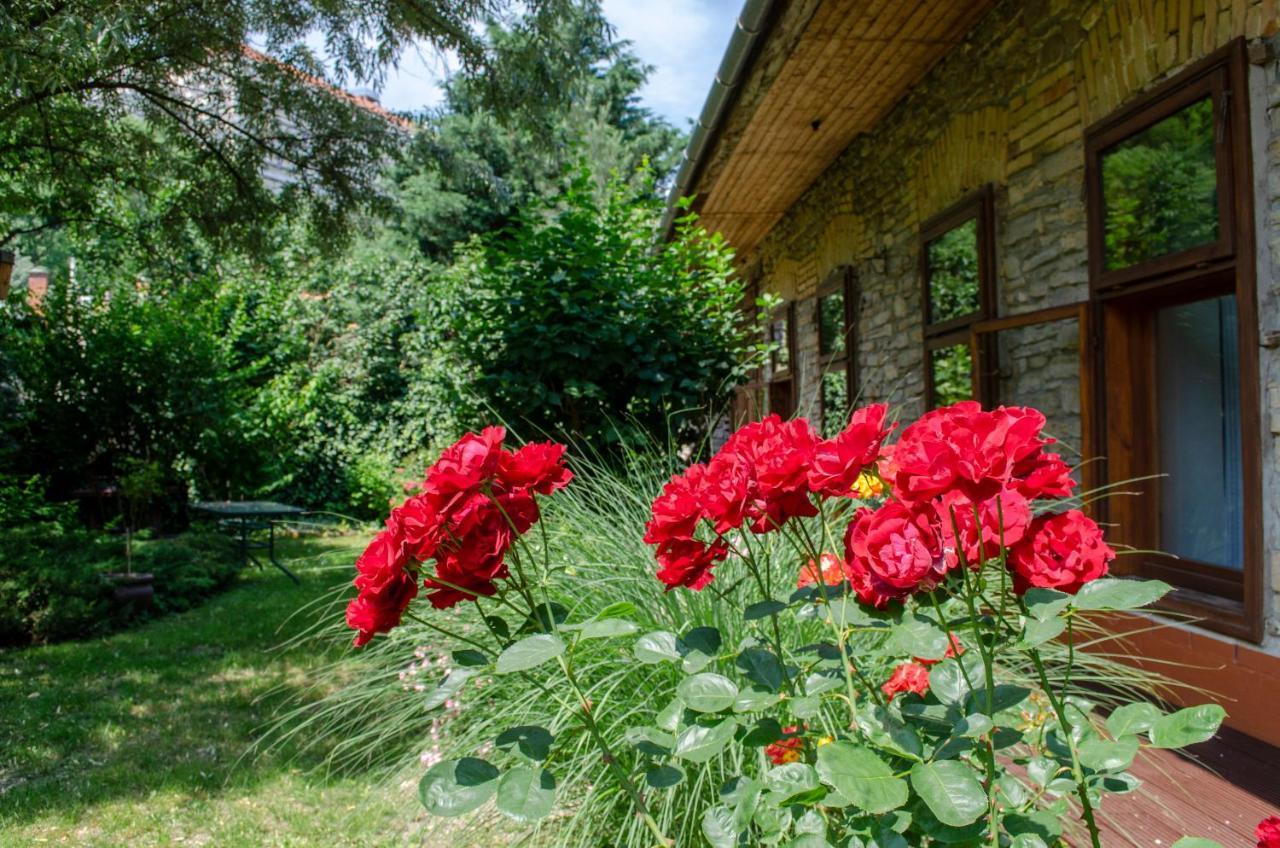 Kohaz Apartman Lägenhet Veszprém Exteriör bild